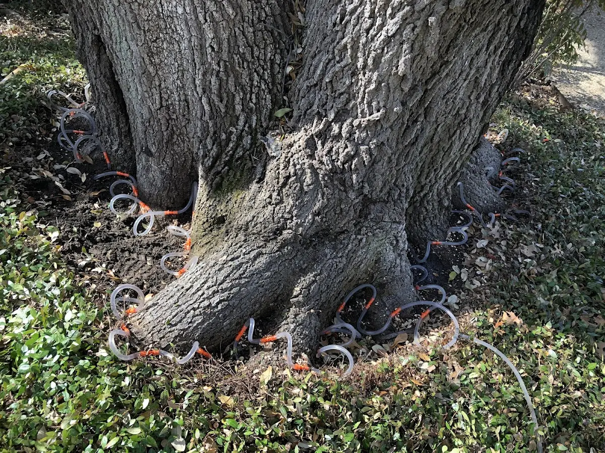 Detailed Shrub and Hedge Trimming job site in New Blaine